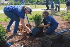 Planting