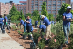 Busy Planters