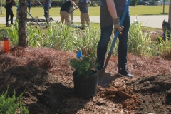 Man Digging