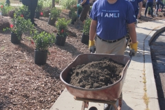 Man With Wheel barrow