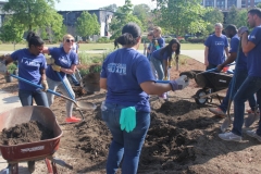 Planting