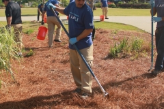 Raking